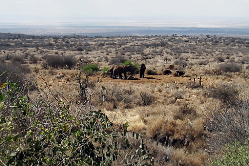Kenia (48)